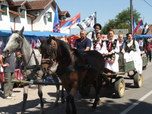 Pohľady vábili krásne koníky a ešte krajšie dievky na vozoch