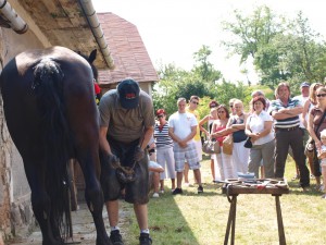 Takto podkúvali koňa v obci Baďan