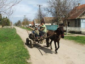 Koník s vozom a veselou čeliadkou v ňom