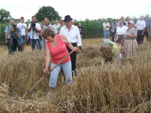 Ľudmila Belušová z Hubovej na Slovensku si spomenula na mladosť, keď ako dievka kosila trávu na seno 