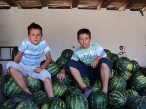 Vnuci Vladimír (vľavo) a Aleksandar Petrovićovci nielenže majú radi melóny, ale aj pomôžu starým rodičom