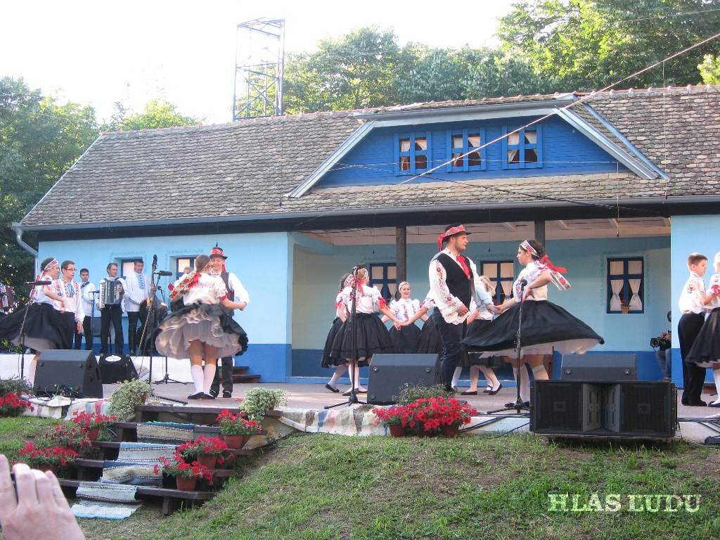 Tanečná skupina na vlaňajšom Festivali Tancuj tancuj v Hložanoch