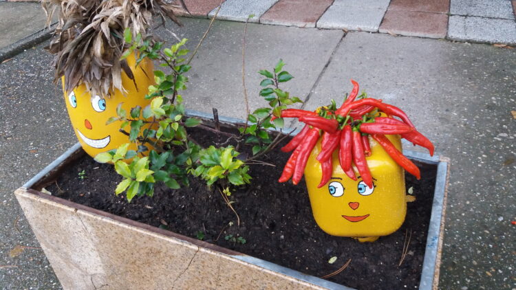 Na realizáciu používajú aj prírodné materiály, akými sú šúpolie a paprika