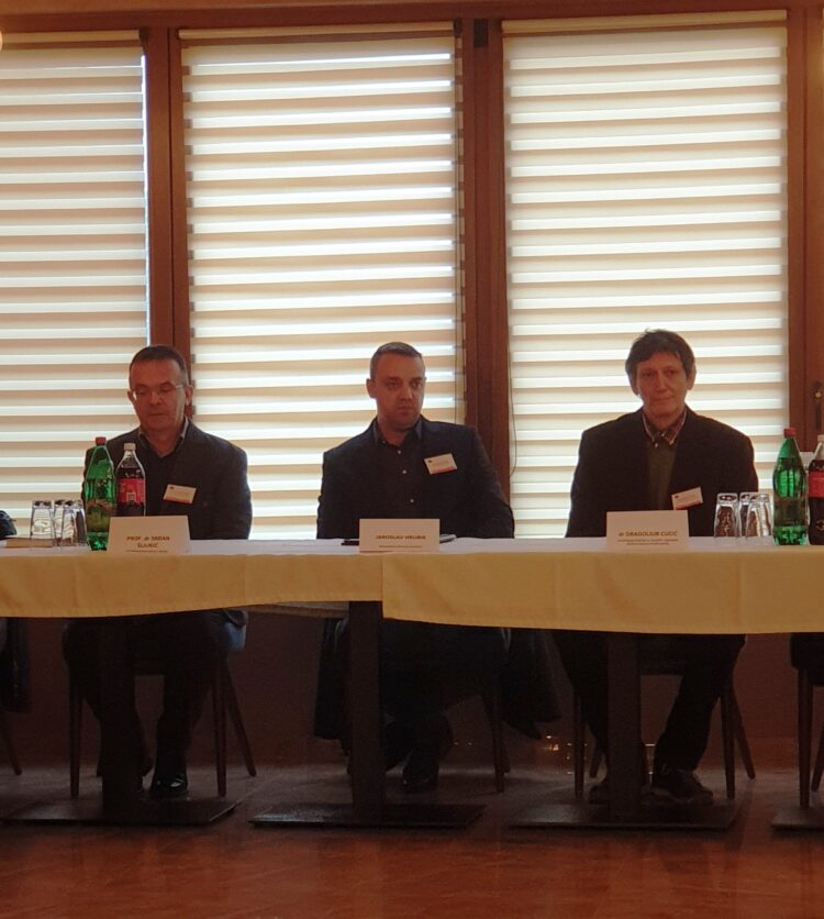 Profesor Dr. Srđan Šljukić, Jaroslav Hrubík a profesor Dr. Dragoljub Cucić