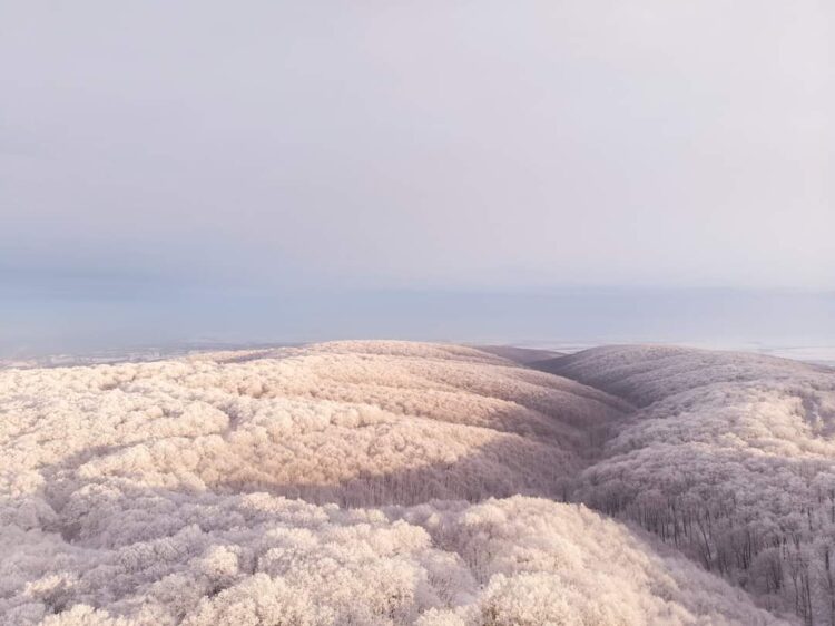 Foto: N. Mihajlović