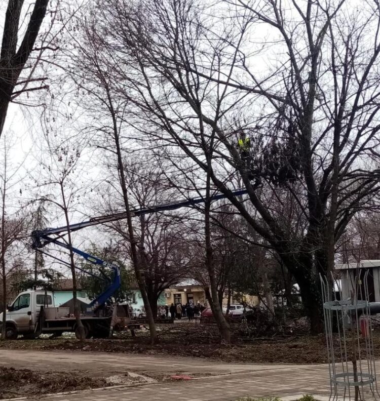 Spiľovanie konárov v mestskom parku