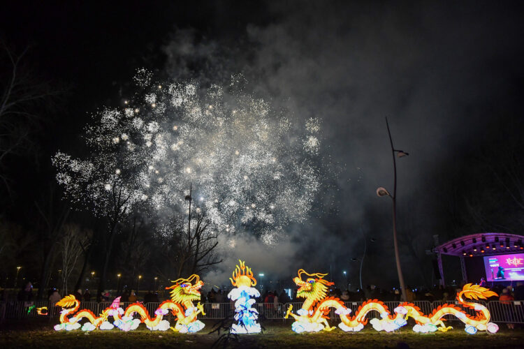 Foto: N. Mihajlović