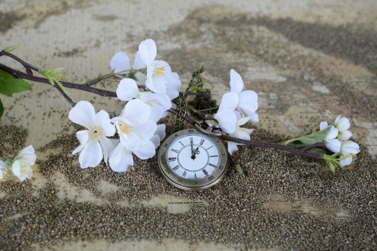 Foto: Pixabay