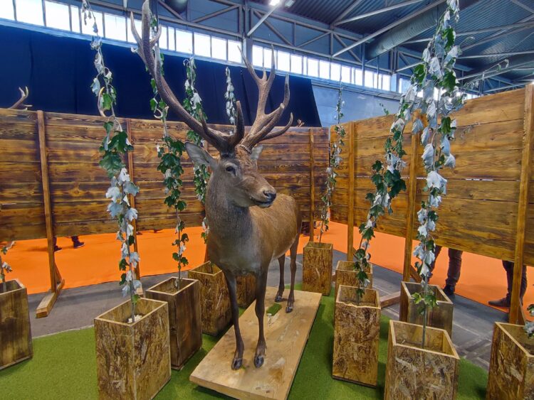 Výstava na minuloročnom Medzinárodnom veľtrhu lovu a rybolovu