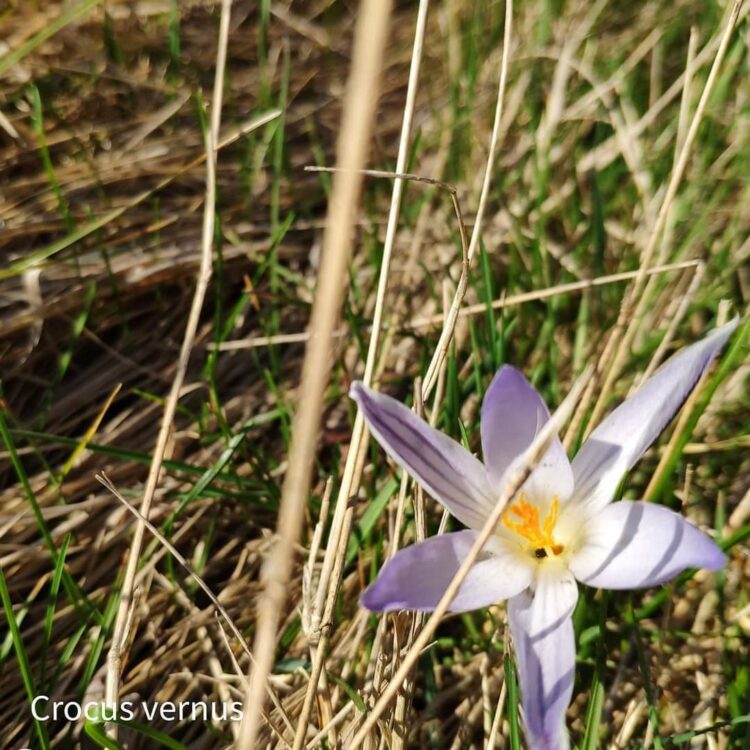 Foto: Božena Pavelová