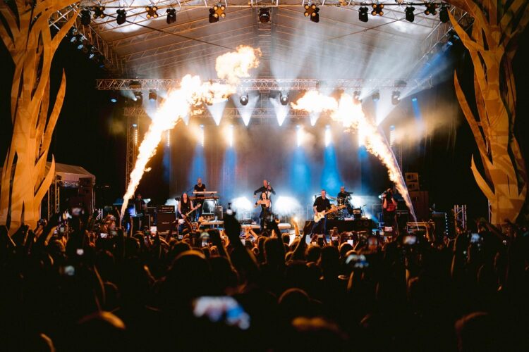 Festival Vila (foto: V. Veličković)