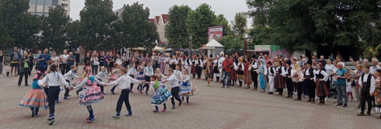 Členovia dvoch pazovských spolkov Branka Radičevića a hrdinu Janka Čmelíka neraz spoločne vystupujú  i na programoch, akým bolo v roku 2022 aj podujatie venované Dňu národnej vlajky
