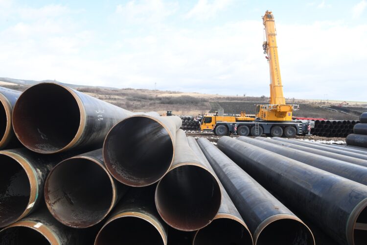 Foto: facebook.com/buducnostsrbijeavucic