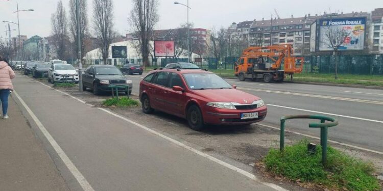 Foto: VKP Gradsko zelenilo