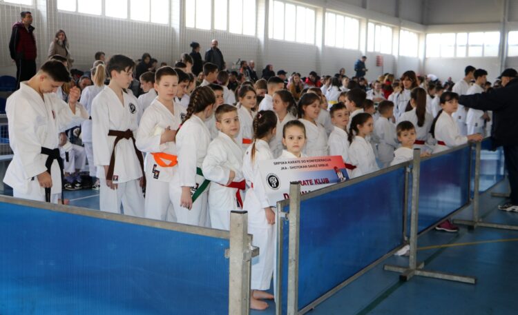 Účastníci pohárovej súťaže Funakoshi v Debeljači