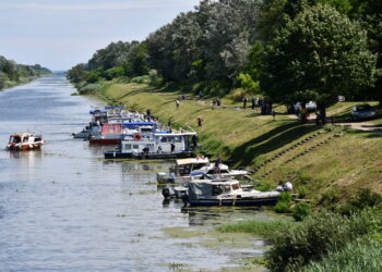 Regata pri rybárskej chate v Báčskom Petrovci