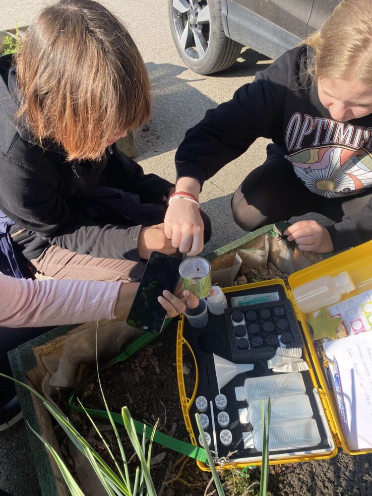 Analýza pôdy pomocou ekologického kufríka