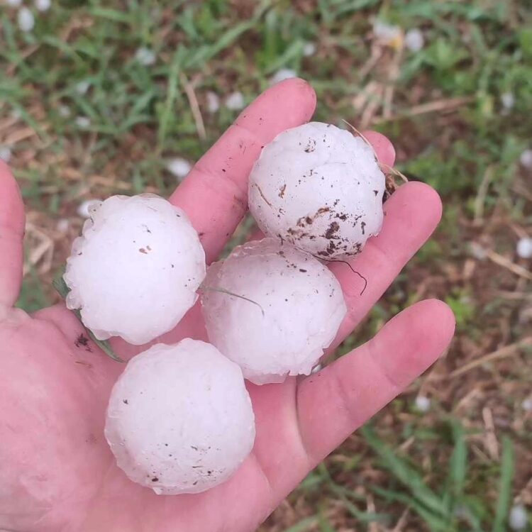 Veľkosť krúp v Ruskom Kerestúre (foto: Facebook/VojvodinaMeteo)