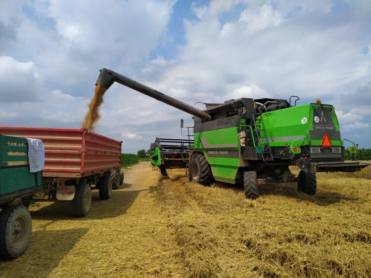 Cena pšenice v Srbsku zatiaľ stagnuje