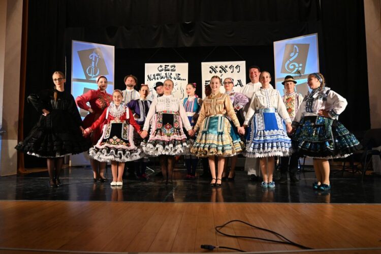 Účastníci zo Srbska na minuloročnej prehliadke (Foto: z archívu Udscr Nădlac DZSČR Nadlak)