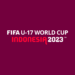 Foto: facebook.com/fifau17worldcup 