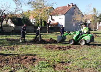 Vysadili aj stromčeky s formovanou korunou