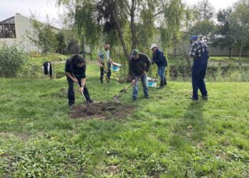 Spoločnými silami k ozeleňovaniu prostredia (Foto: V. Kuchárik)