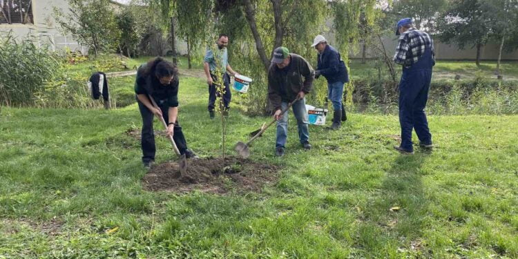 Spoločnými silami k ozeleňovaniu prostredia (Foto: V. Kuchárik)