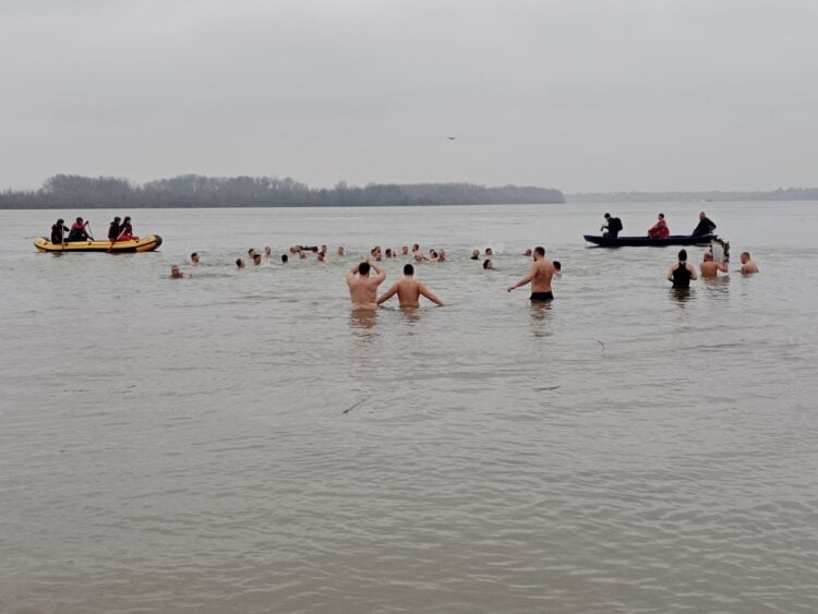 Smelí plavci v studenom Dunaji