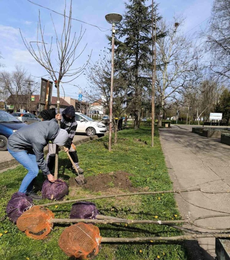 Z marcovej akcie vysádzania sadeníc v Kovačici (Foto: z archívu EHOK)