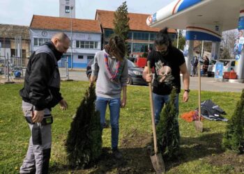 Z marcovej akcie vysádzania sadeníc v Kovačici (Foto: z archívu EHOK)