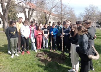 Spoločná fotografia pri zasadenom strome generácie