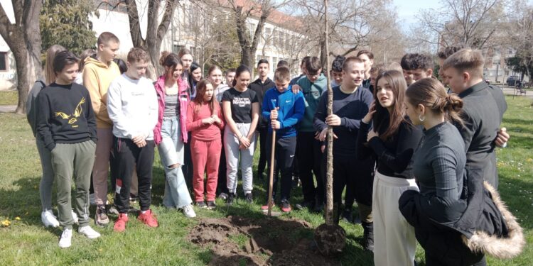 Spoločná fotografia pri zasadenom strome generácie