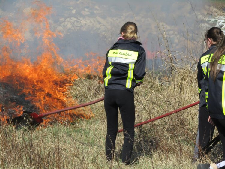 Foto: z archívu DHS Hložany