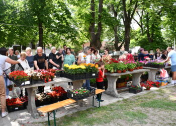 Festival kvetín v Hložanoch