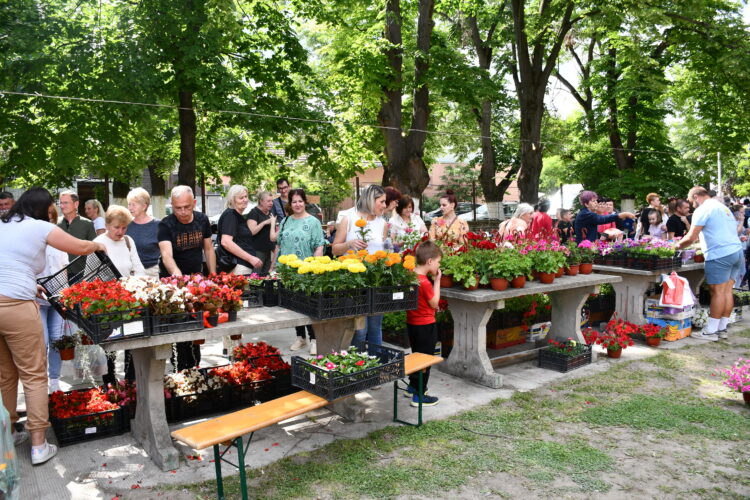 Festival kvetín v Hložanoch