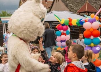 Záber z minuloročného podujatia (foto: Lokálna nadácia Stará Pazova)