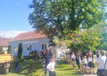 Tesne pred postavením ozdobeného binguľského mája (foto: z archívu SKOS M. R. Štefánika)