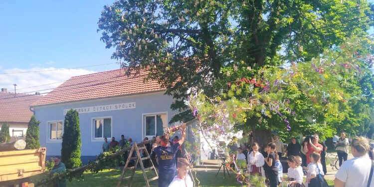 Tesne pred postavením ozdobeného binguľského mája (foto: z archívu SKOS M. R. Štefánika)