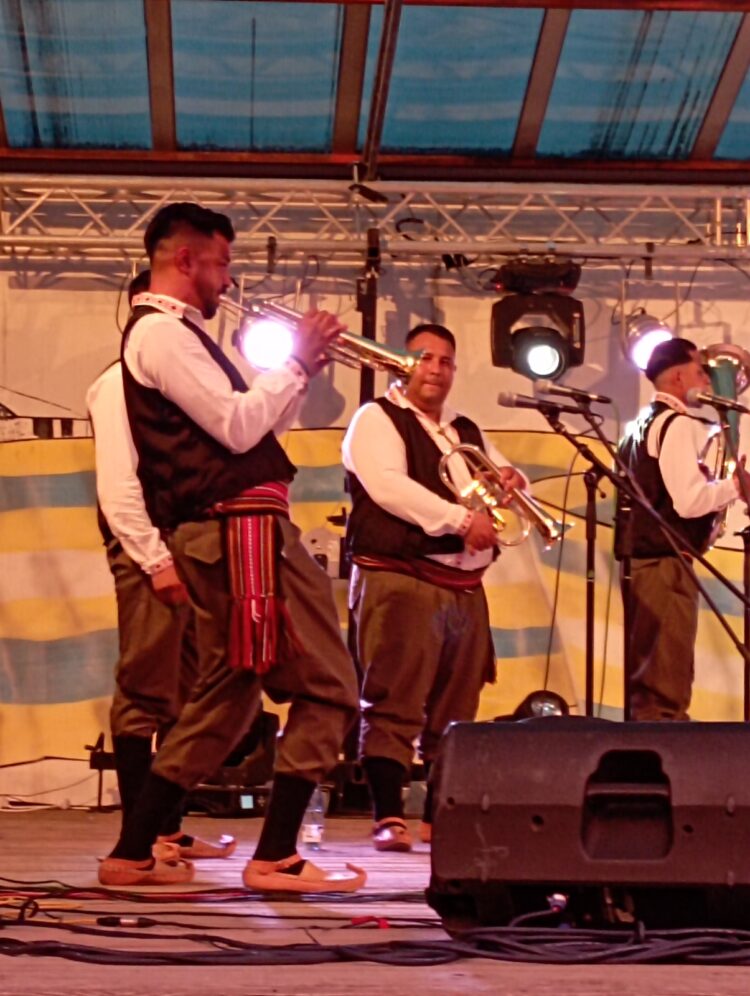 Orchester Damira Ametovića