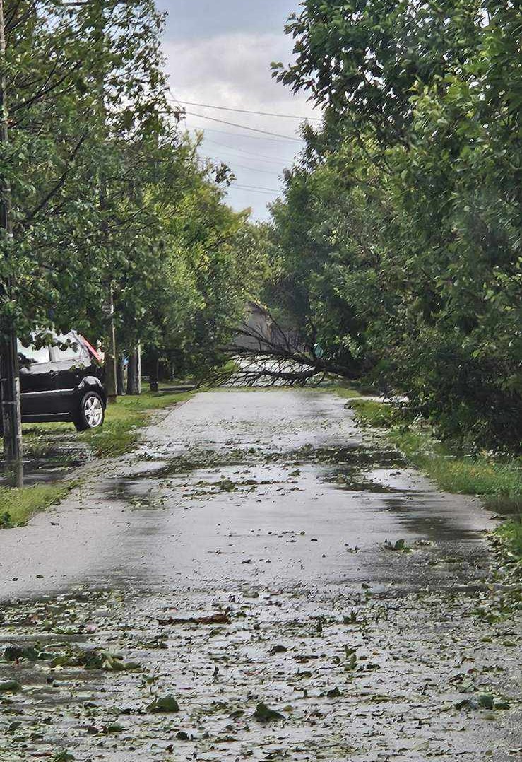 Foto: z archívu DHS Hložany