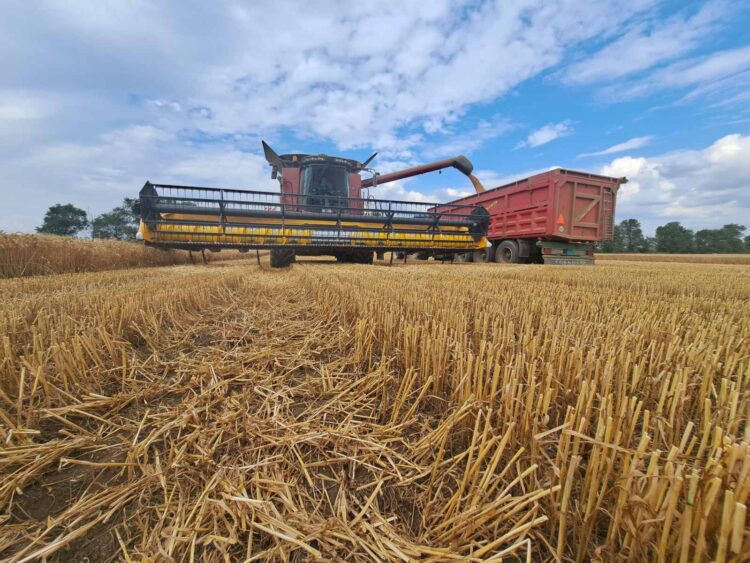 Žatva pšenice sa začala o desať dní skôr ako vlani