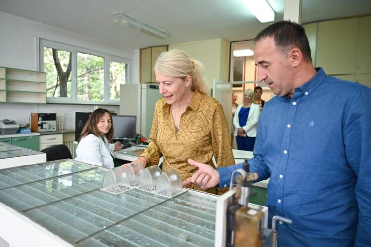 Foto: Zoran Petrović NITRA