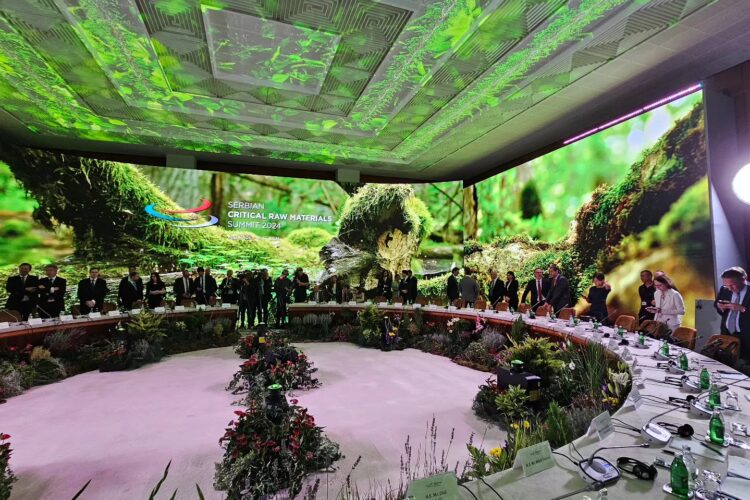 Foto: facebook.com/buducnostsrbijeavucic