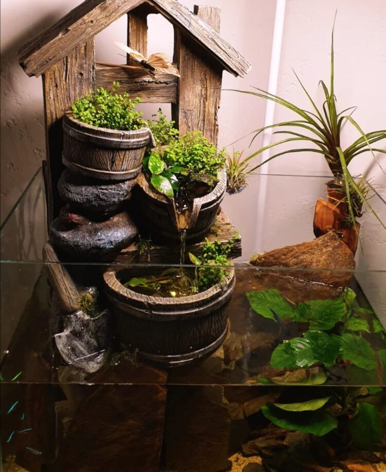 Akvárium s fontánkou (Foto: Nikola Šijan)