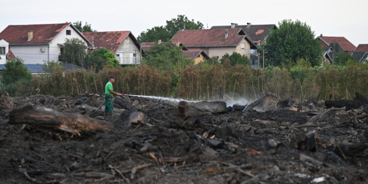 Foto: novisad.rs