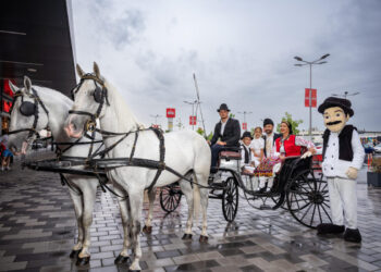 Gastro Sriem 2024 – bohatá gastronomická, kultúrna a turistická ponuka (foto: z archívu TO Obce Stará Pazova)