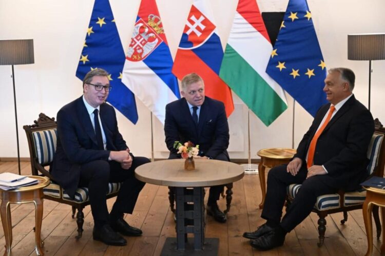 Foto: facebook.com/buducnostsrbijeavucic