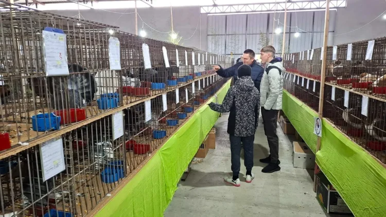 Na novom mieste, no s rovnakým entuziazmom