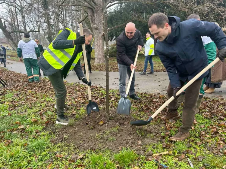 Akcie sa zúčastnili predstavitelia Obce Báčska Palanka, spoločnosti Carlsberg a dánskeho veľvyslanectva (foto: Obec Báčska Palanka)